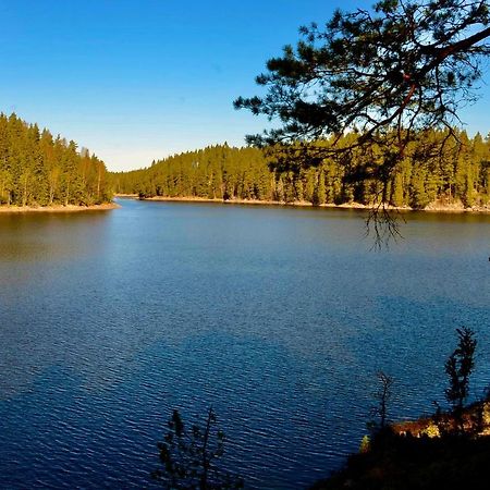 Lake And Forest Hideaway Arjäng Exterior foto